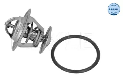 Thermostat, Kühlmittel