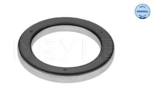 Wälzlager, Federbeinstützlager