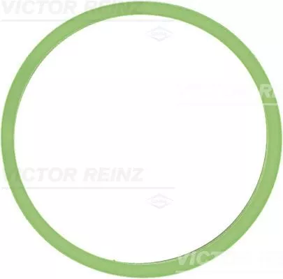 Dichtung, Ansaugkrümmer