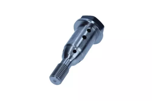 Zentralventil, Nockenwellenverstellung