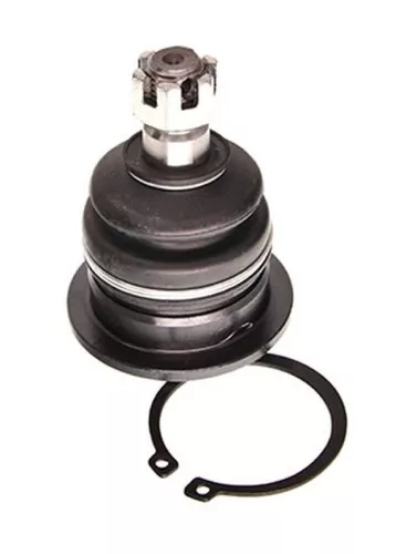 Trag-/Führungsgelenk