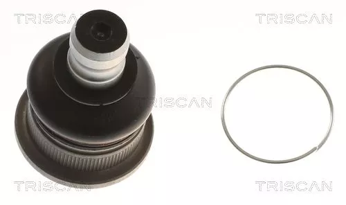 Trag-/Führungsgelenk