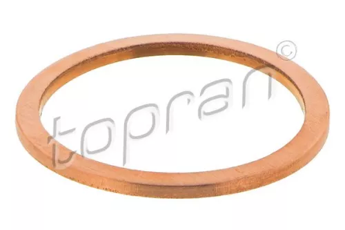 Dichtring, Steuerkettenspanner